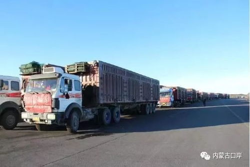 滿都拉口岸進(jìn)出口報關(guān)貨物首次突破300萬噸