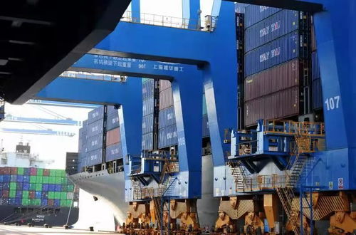 標(biāo)桿城市的期中答卷 貨物進(jìn)出口成績亮眼